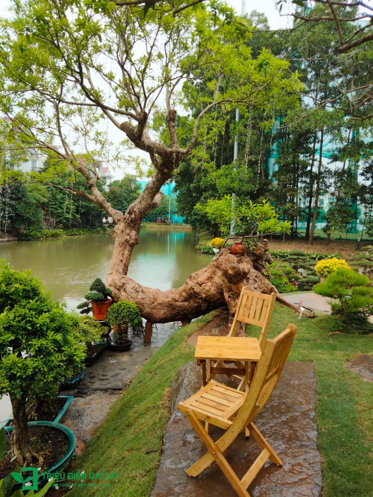 Thiết kế thi công sân vườn trọn gói tại hà nội