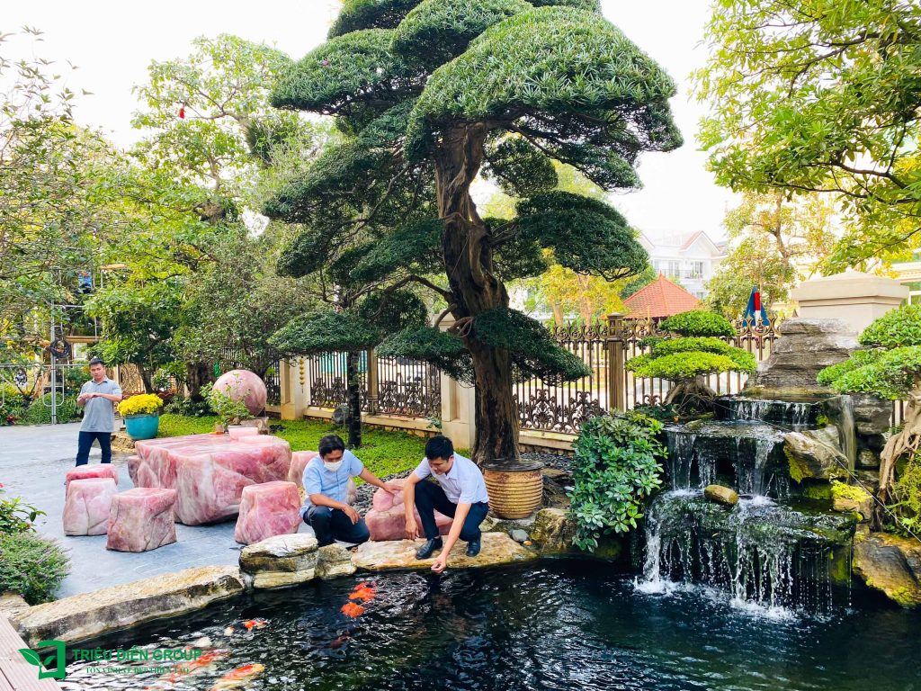 Thiết kế thi công sân vườn trọn gói tại hà nội
