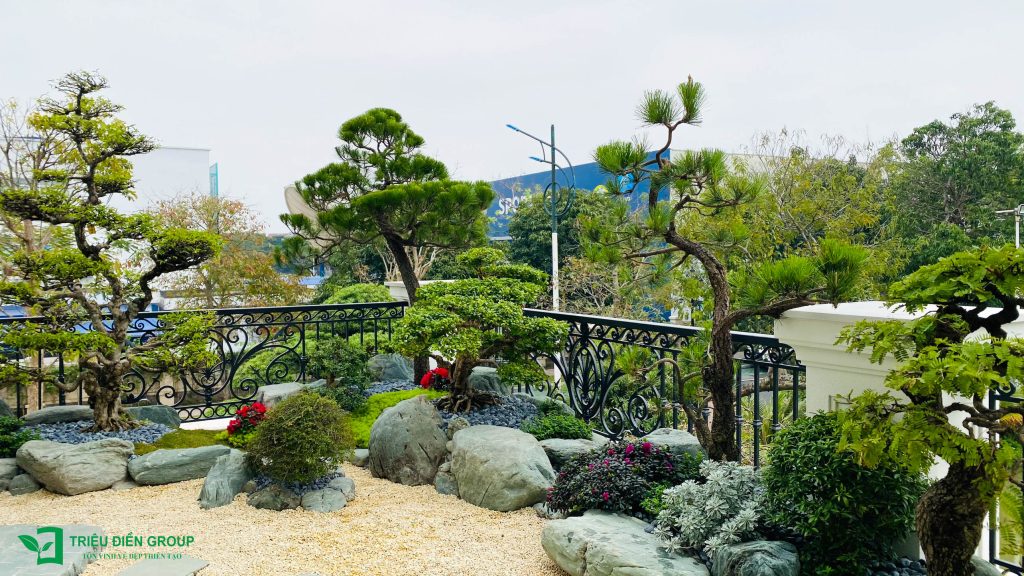 Thiết kế thi công sân vườn trọn gói tại hà nội