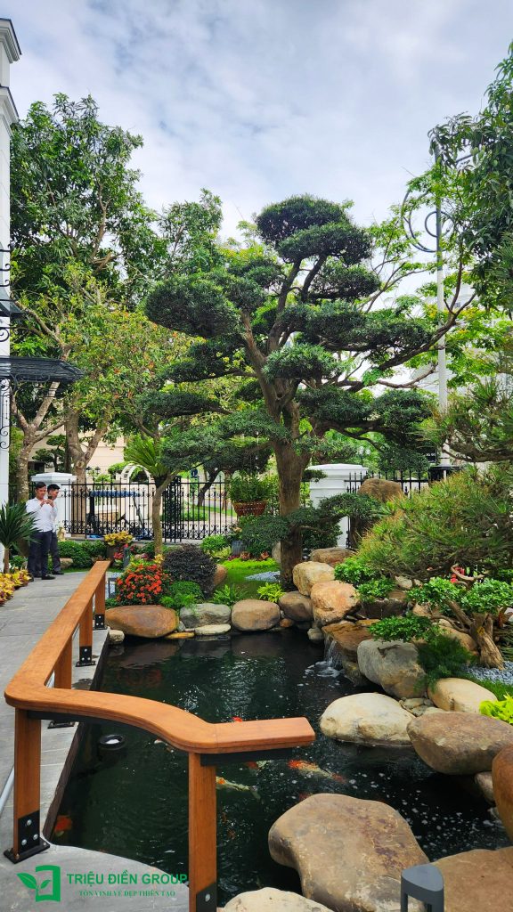 Thiết kế thi công sân vườn trọn gói tại hà nội
