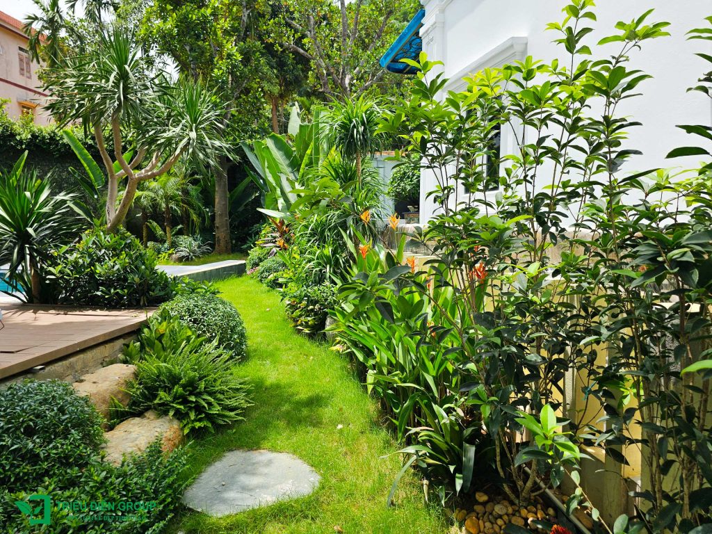 Cải tạo sân vườn biệt thự tại Xanh Villas: Hoàn thiện không gian sống chuẩn resort tại gia 12 Thiết kế thi công sân vườn trọn gói tại hà nội