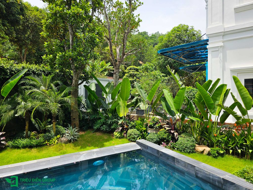 Cải tạo sân vườn biệt thự tại Xanh Villas: Hoàn thiện không gian sống chuẩn resort tại gia 7 Thiết kế thi công sân vườn trọn gói tại hà nội