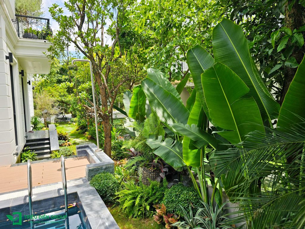 Cải tạo sân vườn biệt thự tại Xanh Villas: Hoàn thiện không gian sống chuẩn resort tại gia 8 Thiết kế thi công sân vườn trọn gói tại hà nội