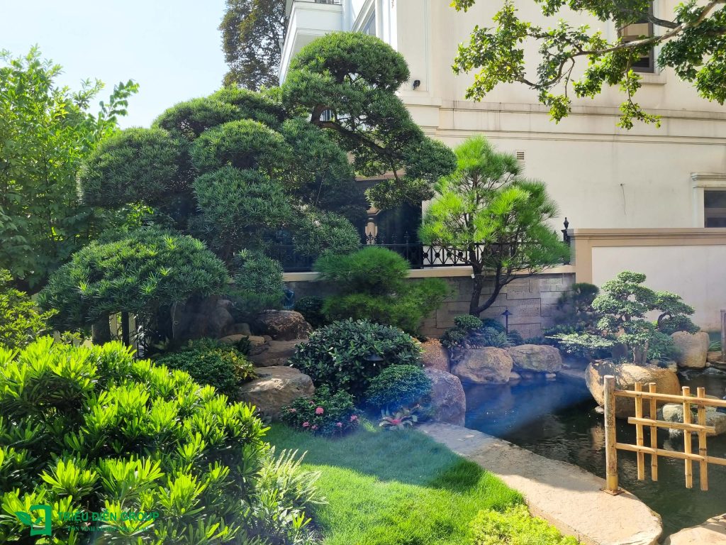 Thiết kế thi công sân vườn trọn gói tại hà nội