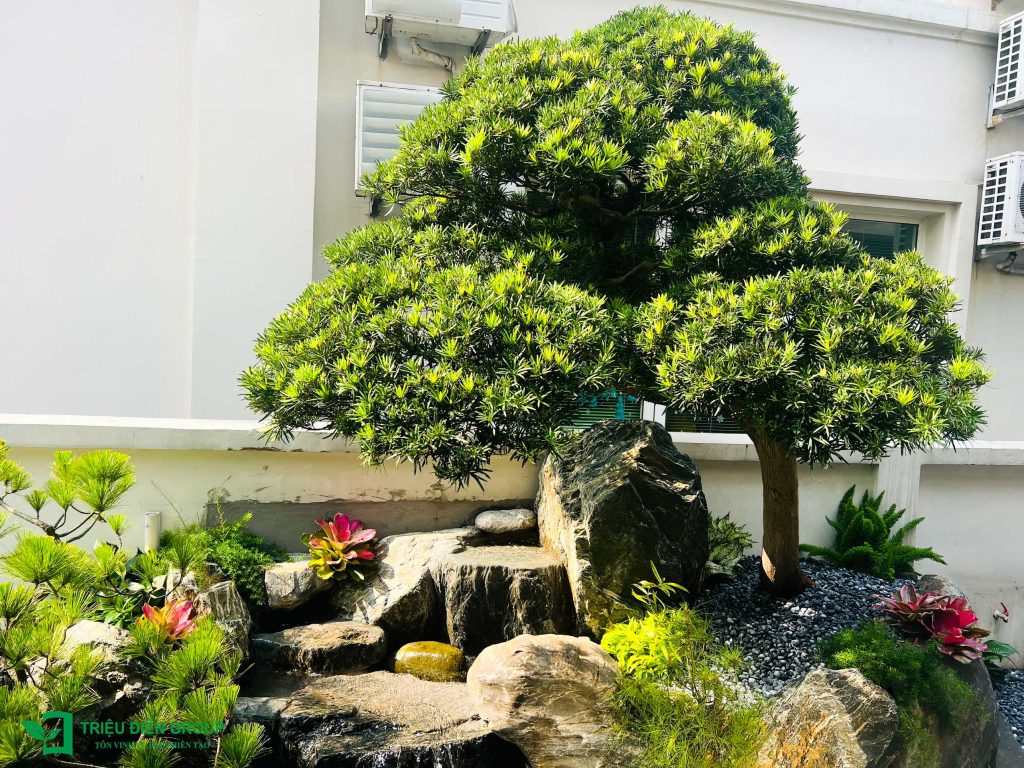 Thiết kế thi công sân vườn trọn gói tại hà nội
