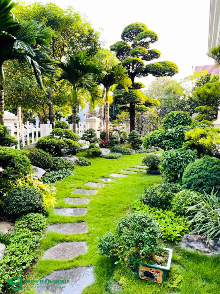 Thiết kế thi công sân vườn trọn gói tại hà nội