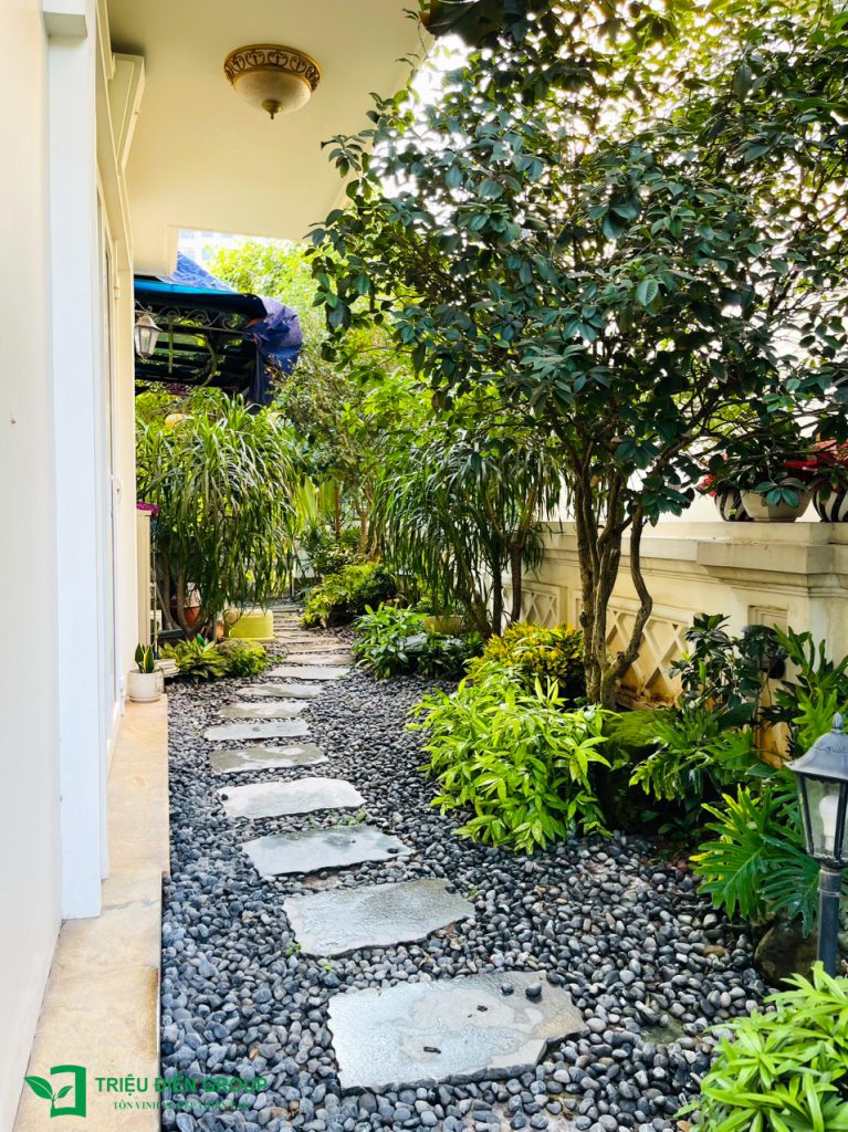 Thiết kế thi công sân vườn trọn gói tại hà nội