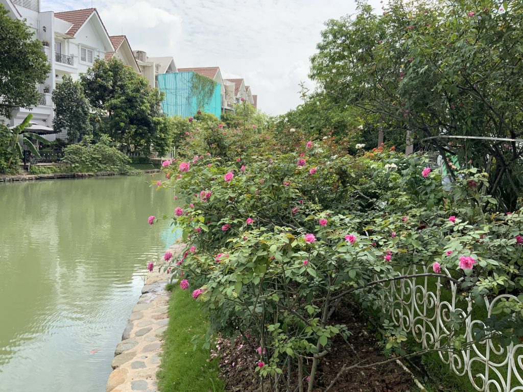 Thiết kế thi công sân vườn trọn gói tại hà nội