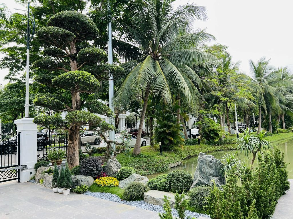 Thiết kế thi công sân vườn trọn gói tại hà nội