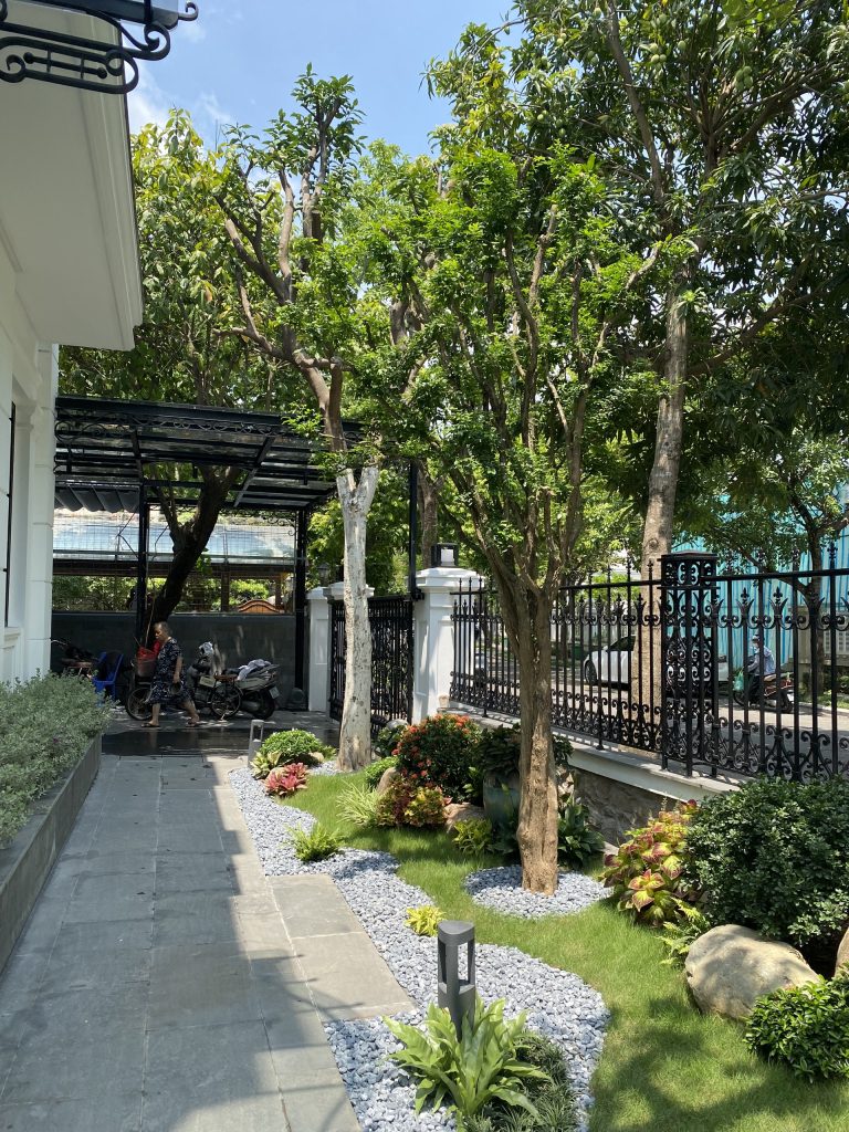Thiết kế thi công sân vườn trọn gói tại hà nội