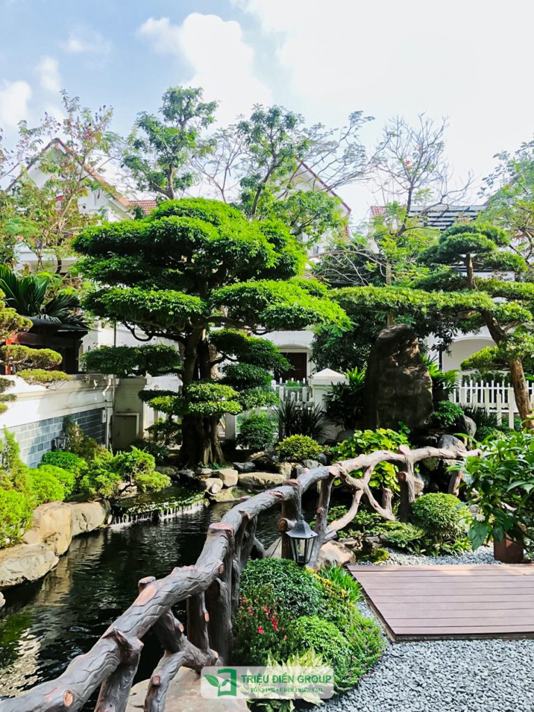 Thiết kế thi công sân vườn trọn gói tại hà nội