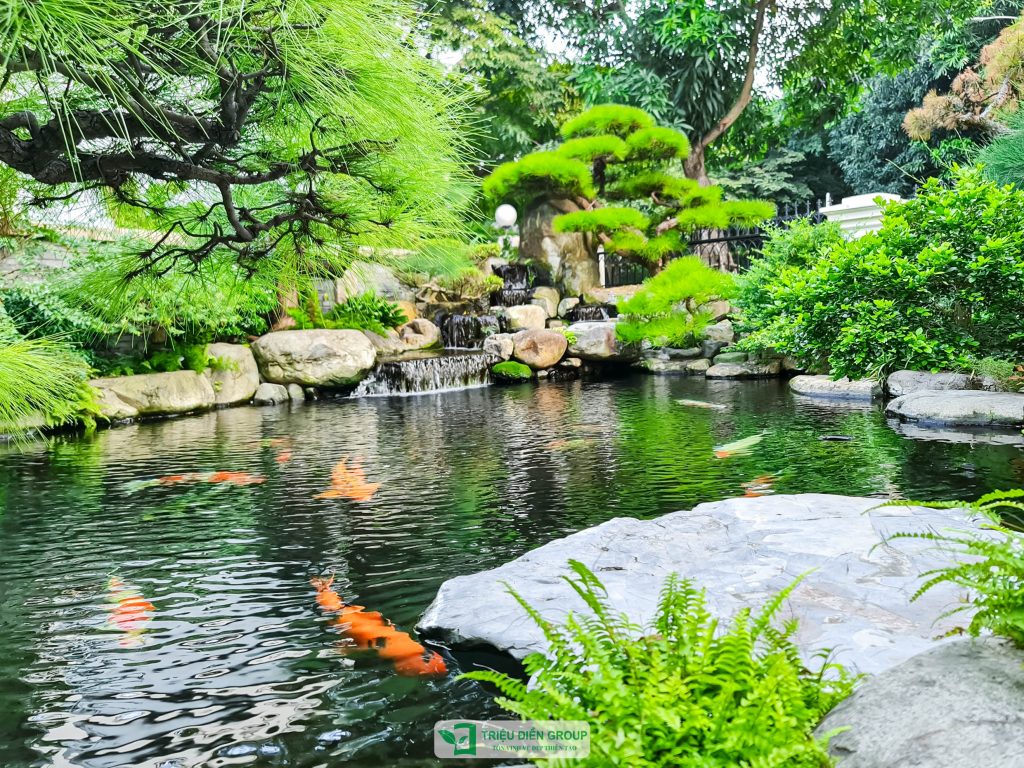 Thiết kế thi công sân vườn trọn gói tại hà nội