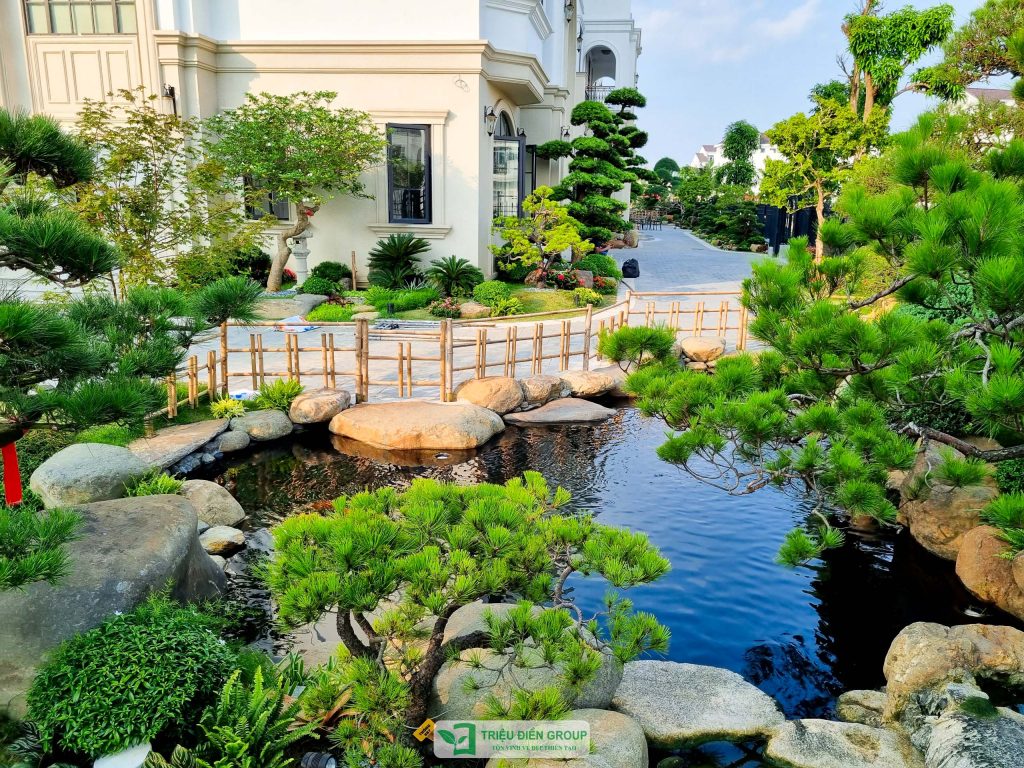 5 Loại cây nên trồng mùa hè cho sân vườn biệt thự giúp không gian xanh mát và giá trị hơn 4 Thiết kế thi công sân vườn trọn gói tại hà nội