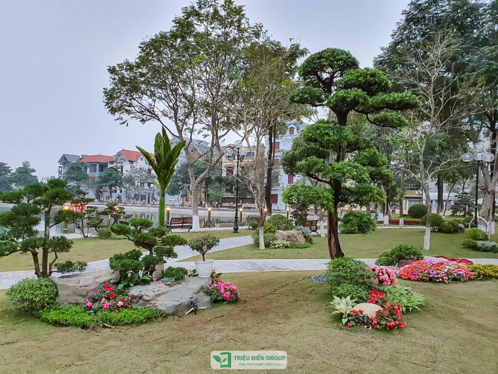 Thiết kế thi công sân vườn trọn gói tại hà nội
