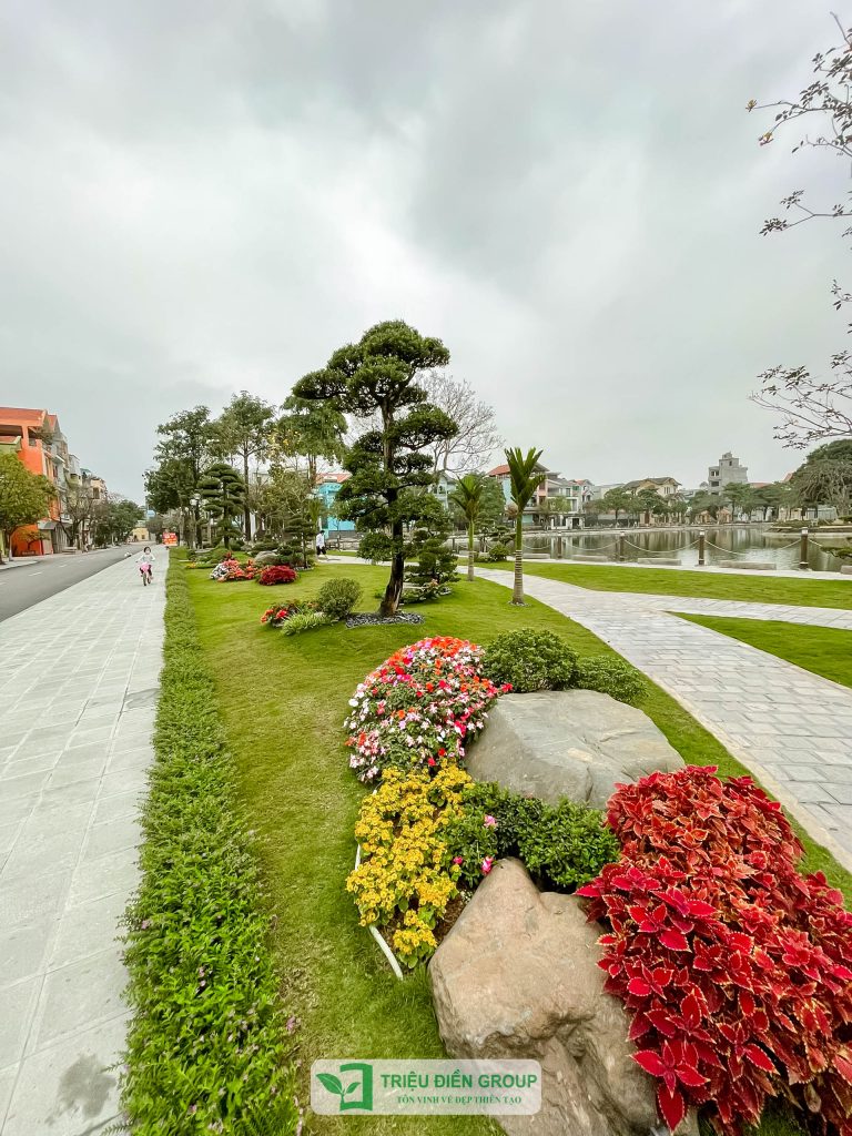 Thiết kế thi công sân vườn trọn gói tại hà nội