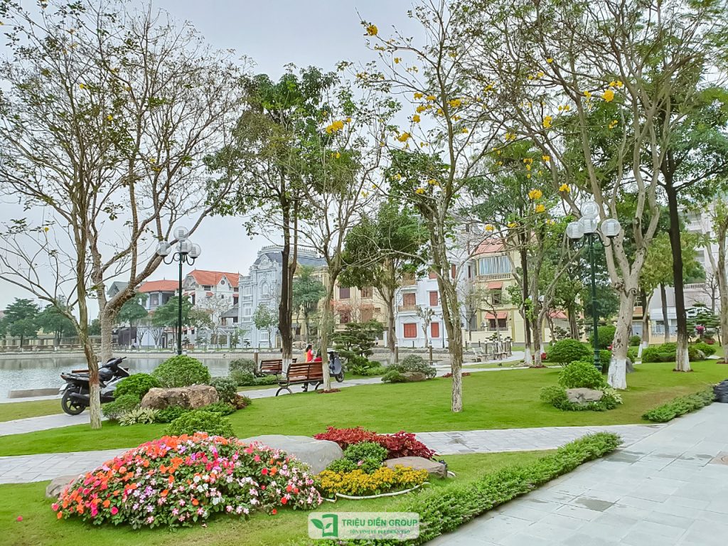 Thiết kế thi công sân vườn trọn gói tại hà nội