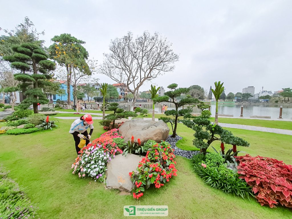 Thiết kế thi công sân vườn trọn gói tại hà nội