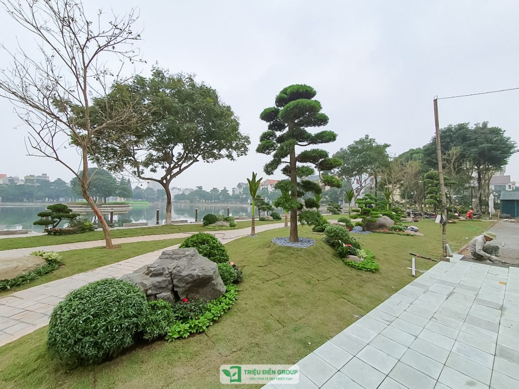 Thiết kế thi công sân vườn trọn gói tại hà nội