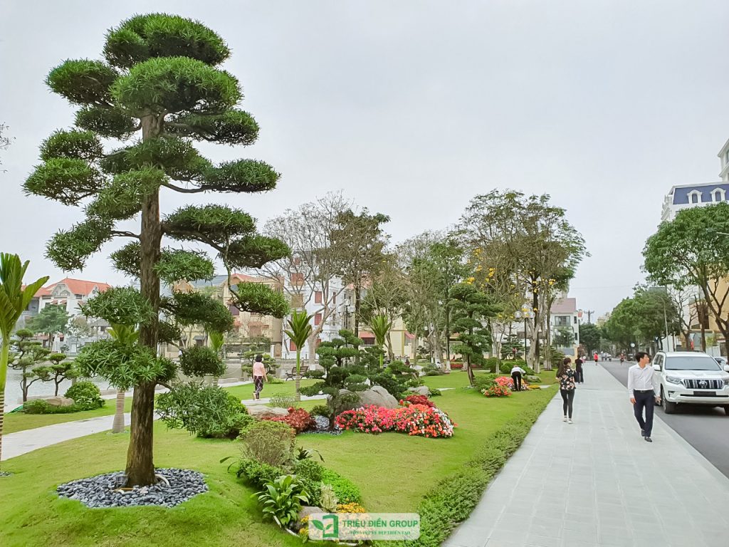 Thiết kế thi công sân vườn trọn gói tại hà nội