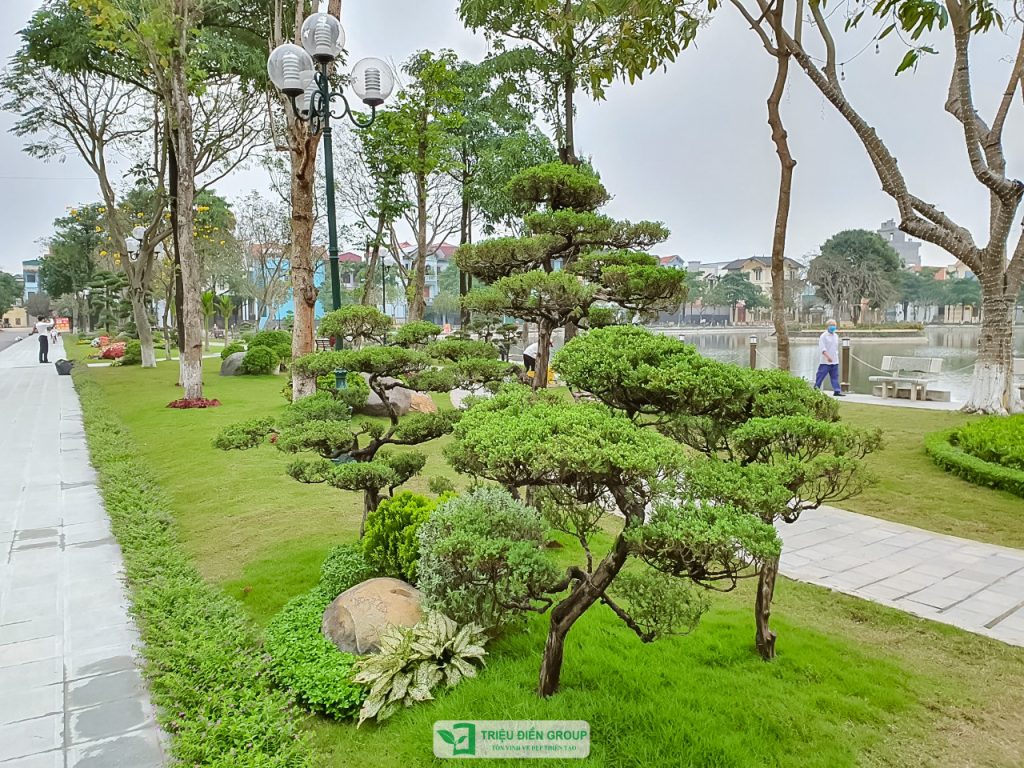 Thiết kế thi công sân vườn trọn gói tại hà nội