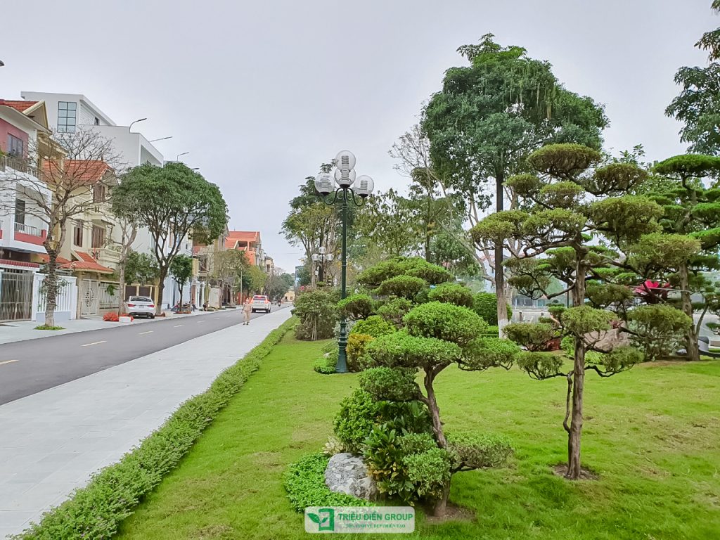 Thiết kế thi công sân vườn trọn gói tại hà nội