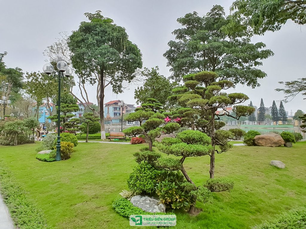 Thiết kế thi công sân vườn trọn gói tại hà nội