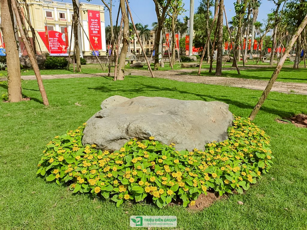 Thiết kế thi công sân vườn trọn gói tại hà nội