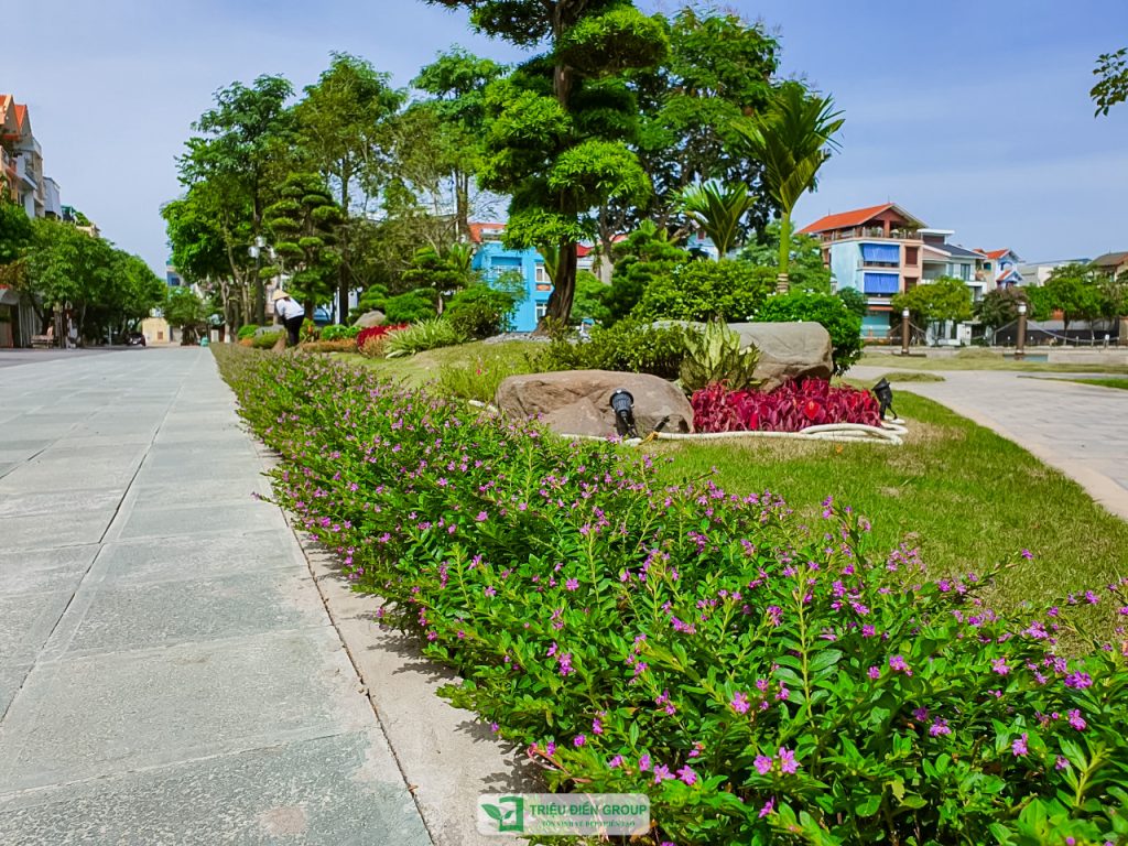 Thiết kế thi công sân vườn trọn gói tại hà nội