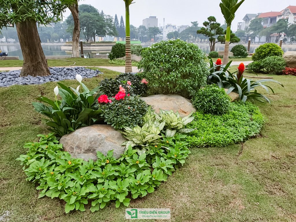 Thiết kế thi công sân vườn trọn gói tại hà nội