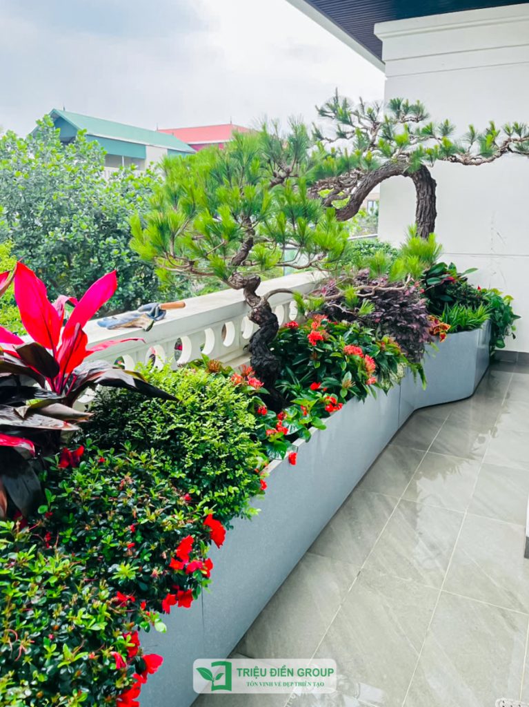 Thiết kế thi công sân vườn trọn gói tại hà nội