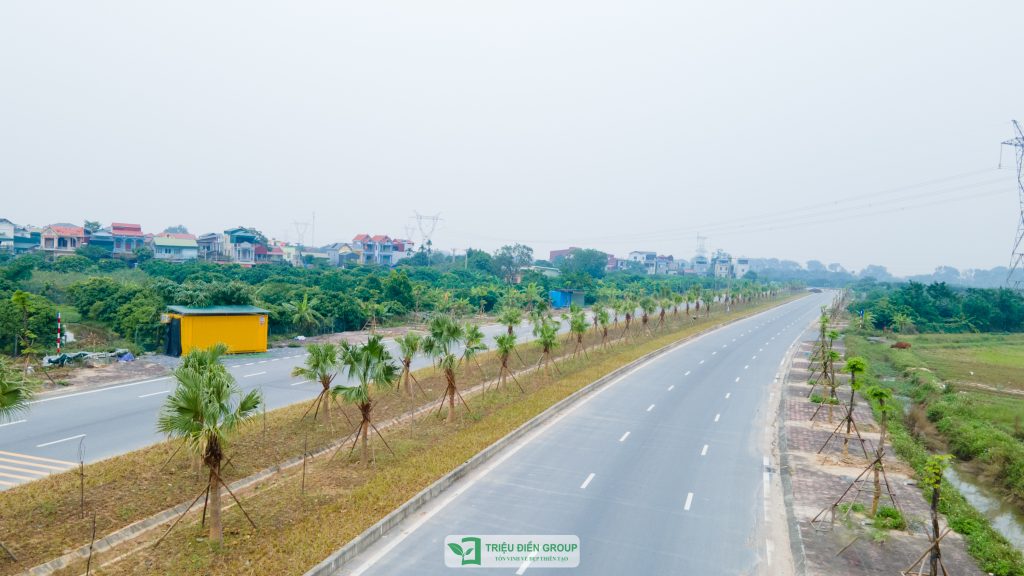 Thiết kế thi công sân vườn trọn gói tại hà nội