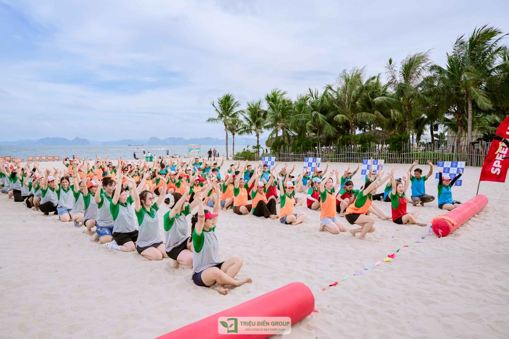 Thiết kế thi công sân vườn trọn gói tại hà nội