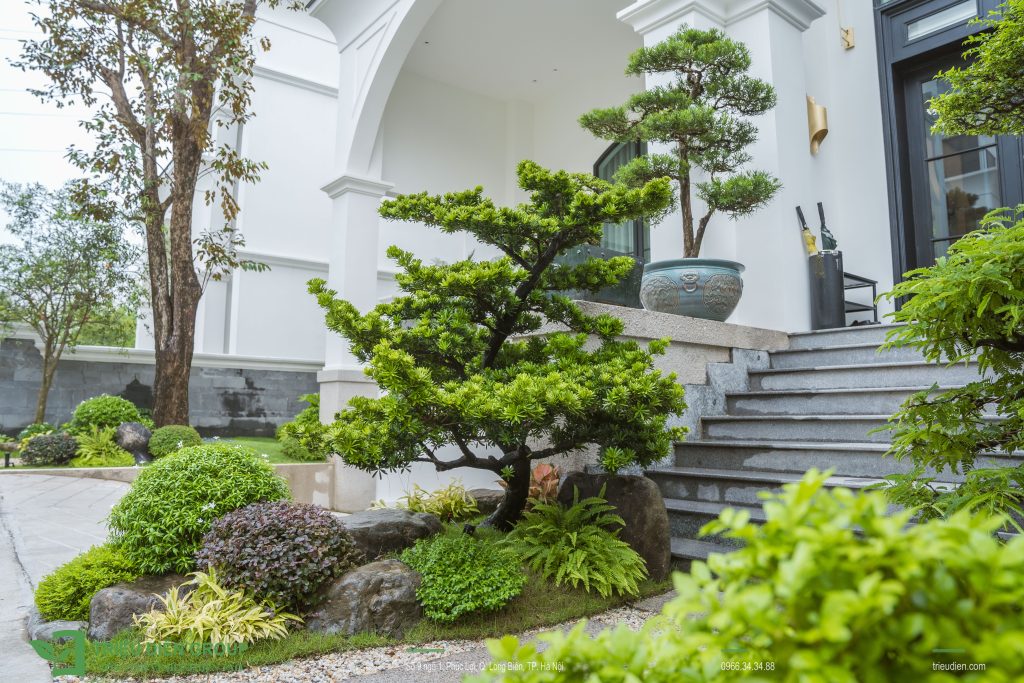 Thiết kế thi công sân vườn trọn gói tại hà nội
