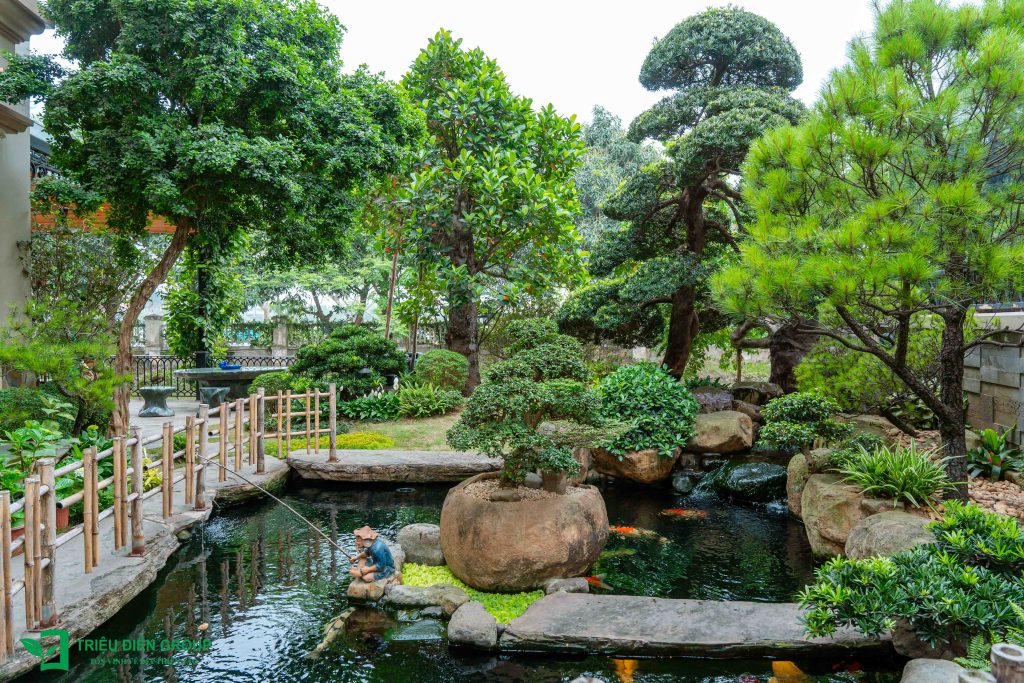 5 Loại cây nên trồng mùa hè cho sân vườn biệt thự giúp không gian xanh mát và giá trị hơn 3 Thiết kế thi công sân vườn trọn gói tại hà nội