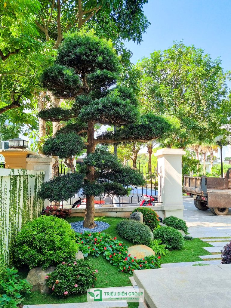 Thiết kế thi công sân vườn trọn gói tại hà nội