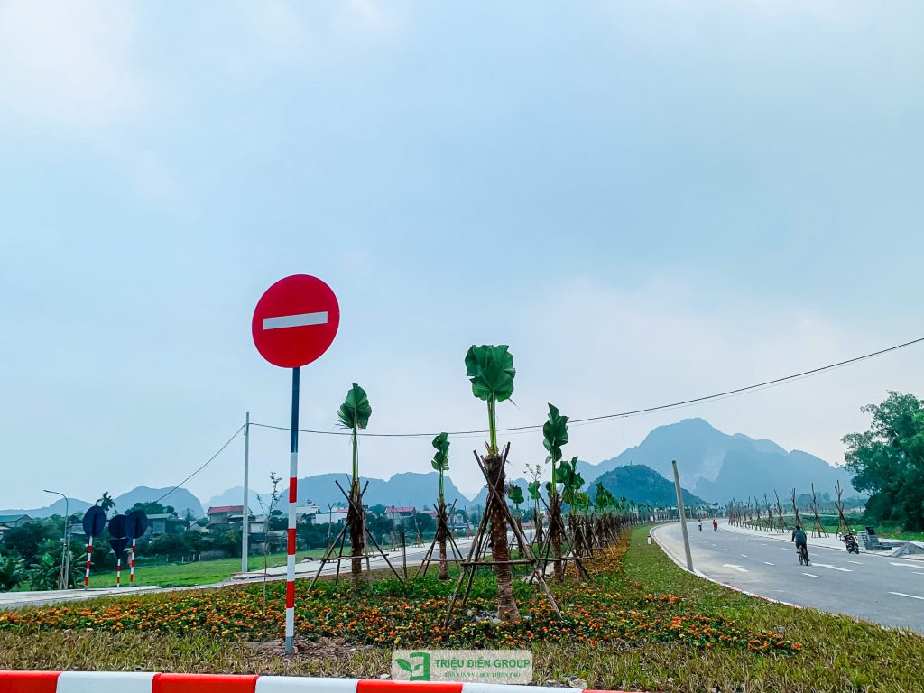 Thiết kế thi công sân vườn trọn gói tại hà nội