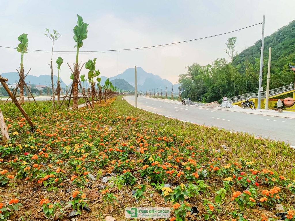 Thiết kế thi công sân vườn trọn gói tại hà nội