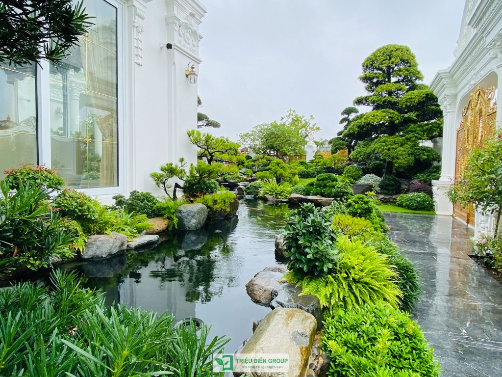 5 Loại cây nên trồng mùa hè cho sân vườn biệt thự giúp không gian xanh mát và giá trị hơn 19 Thiết kế thi công sân vườn trọn gói tại hà nội