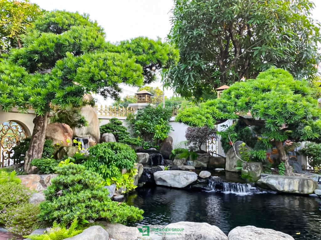 Thiết kế thi công sân vườn trọn gói tại hà nội