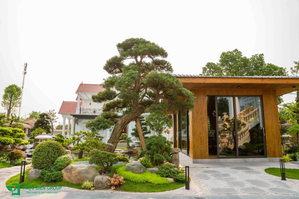Làm sân vườn không có bản thiết kế: Những rủi ro thường gặp 13 Thiết kế thi công sân vườn trọn gói tại hà nội