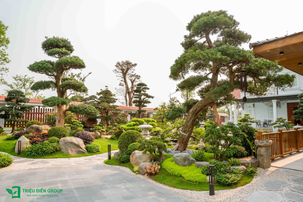 5 Loại cây nên trồng mùa hè cho sân vườn biệt thự giúp không gian xanh mát và giá trị hơn 5 Thiết kế thi công sân vườn trọn gói tại hà nội