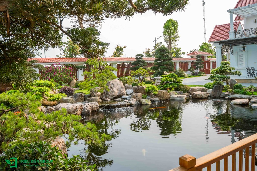 5 Loại cây nên trồng mùa hè cho sân vườn biệt thự giúp không gian xanh mát và giá trị hơn 9 Thiết kế thi công sân vườn trọn gói tại hà nội