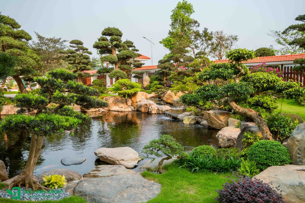 Làm sân vườn không có bản thiết kế: Những rủi ro thường gặp 14 Thiết kế thi công sân vườn trọn gói tại hà nội