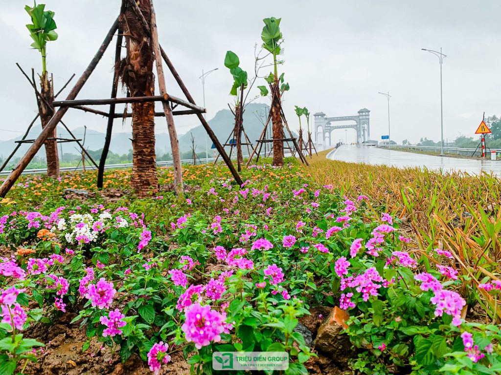Thiết kế thi công sân vườn trọn gói tại hà nội