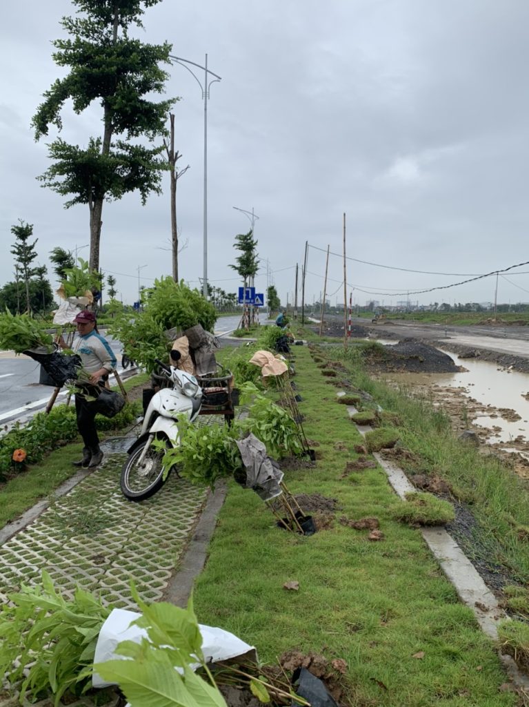 Thiết kế thi công sân vườn trọn gói tại hà nội