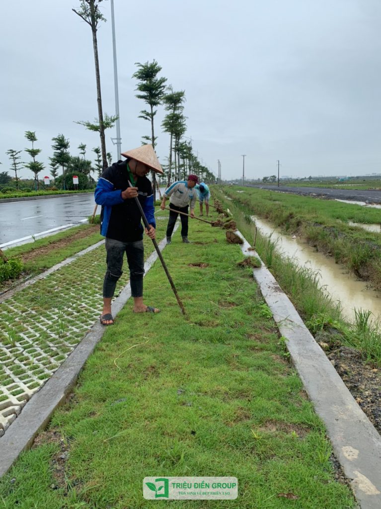 Thiết kế thi công sân vườn trọn gói tại hà nội