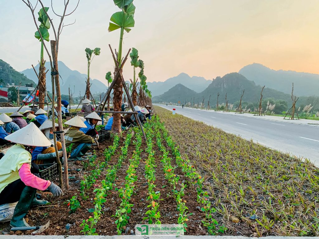 Thiết kế thi công sân vườn trọn gói tại hà nội