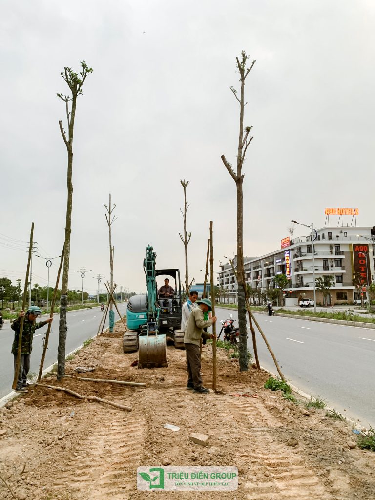 Thiết kế thi công sân vườn trọn gói tại hà nội