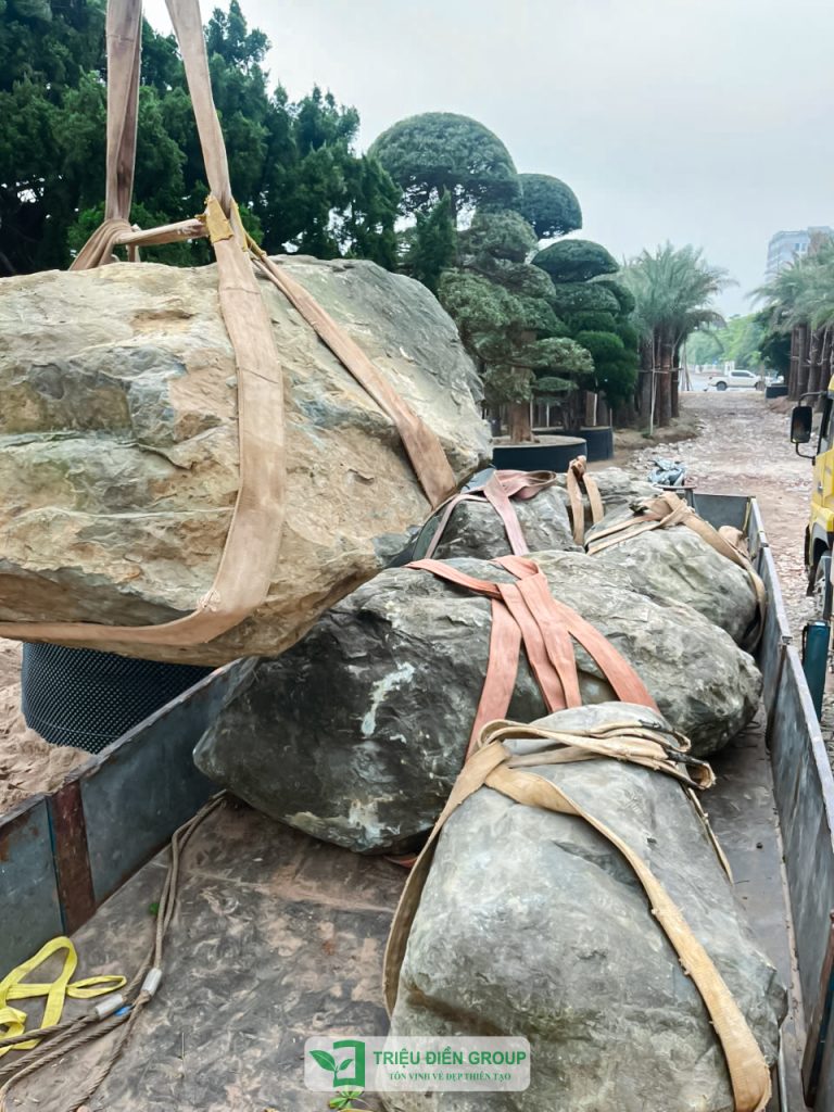 Thiết kế thi công sân vườn trọn gói tại hà nội