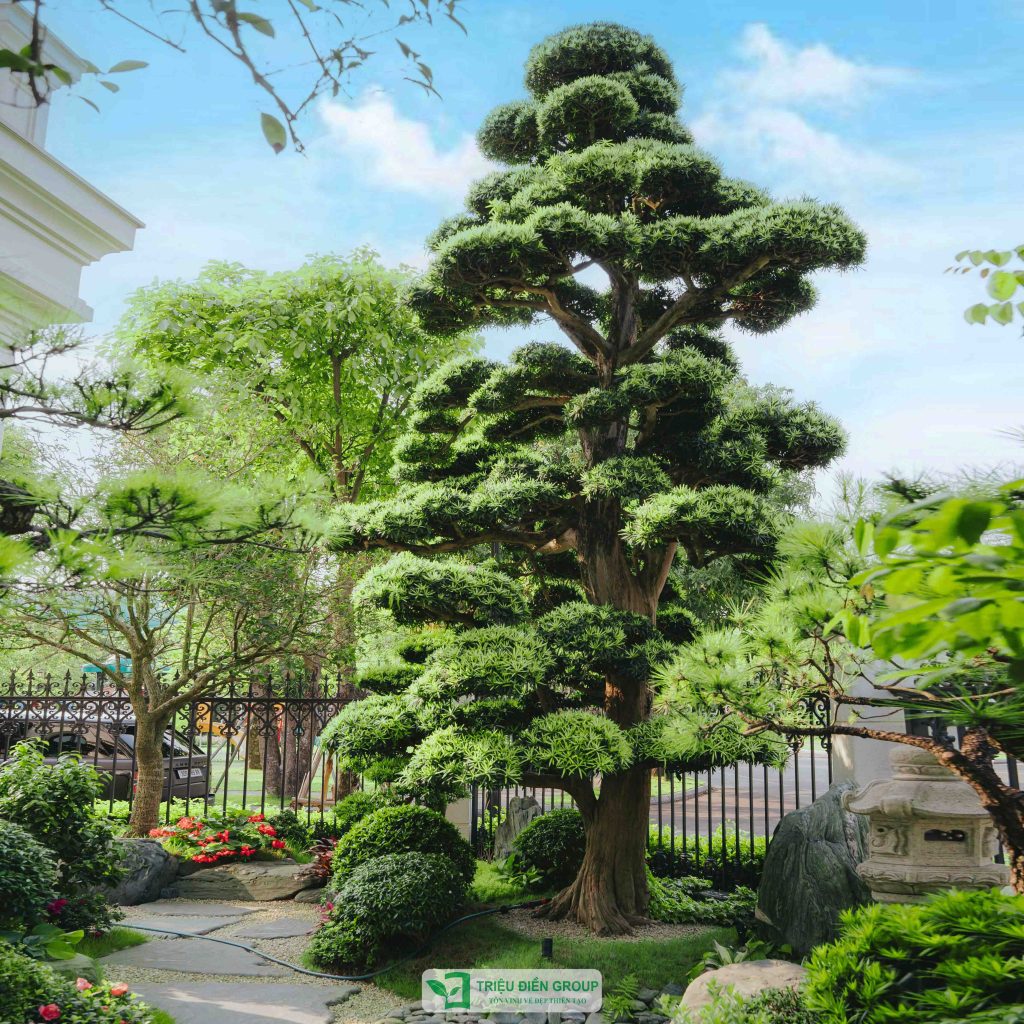 Thiết kế thi công sân vườn trọn gói tại hà nội